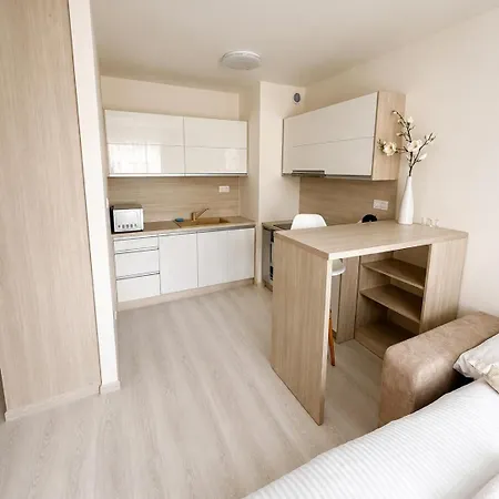 Apartmán Lam Brick - Parking Free - Ac - Terrace Bratislava